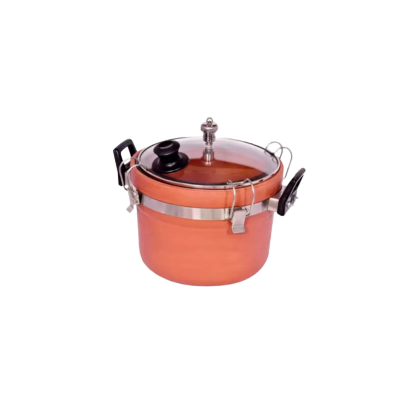 CLAY PRESSURE COOKER 4 LTR GLASS LID